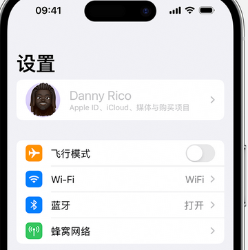 昌江appleID维修服务iPhone设置中Apple ID显示为灰色无法使用 