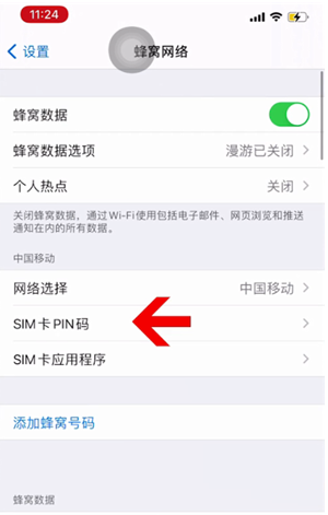 昌江苹果14维修网分享如何给iPhone14的SIM卡设置密码 