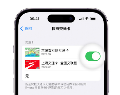 昌江apple维修点分享iPhone上更换Apple Pay快捷交通卡手绘卡面 