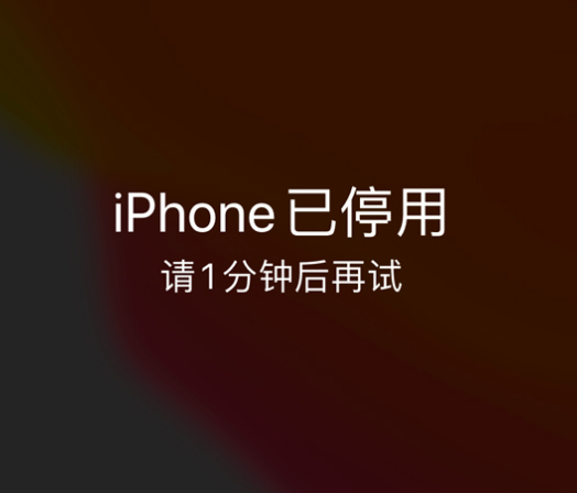 昌江苹果手机维修分享:iPhone 显示“不可用”或“已停用”怎么办？还能保留数据吗？ 