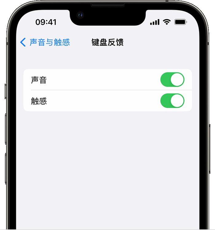 昌江苹果14维修店分享如何在 iPhone 14 机型中使用触感键盘 