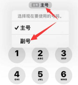 昌江苹果14维修店分享iPhone 14 Pro Max使用副卡打电话的方法 