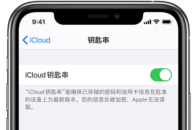 昌江苹果手机维修分享在 iPhone 上开启 iCloud 钥匙串之后会储存哪些信息 